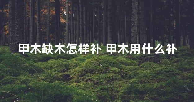 甲木缺木怎样补 甲木用什么补